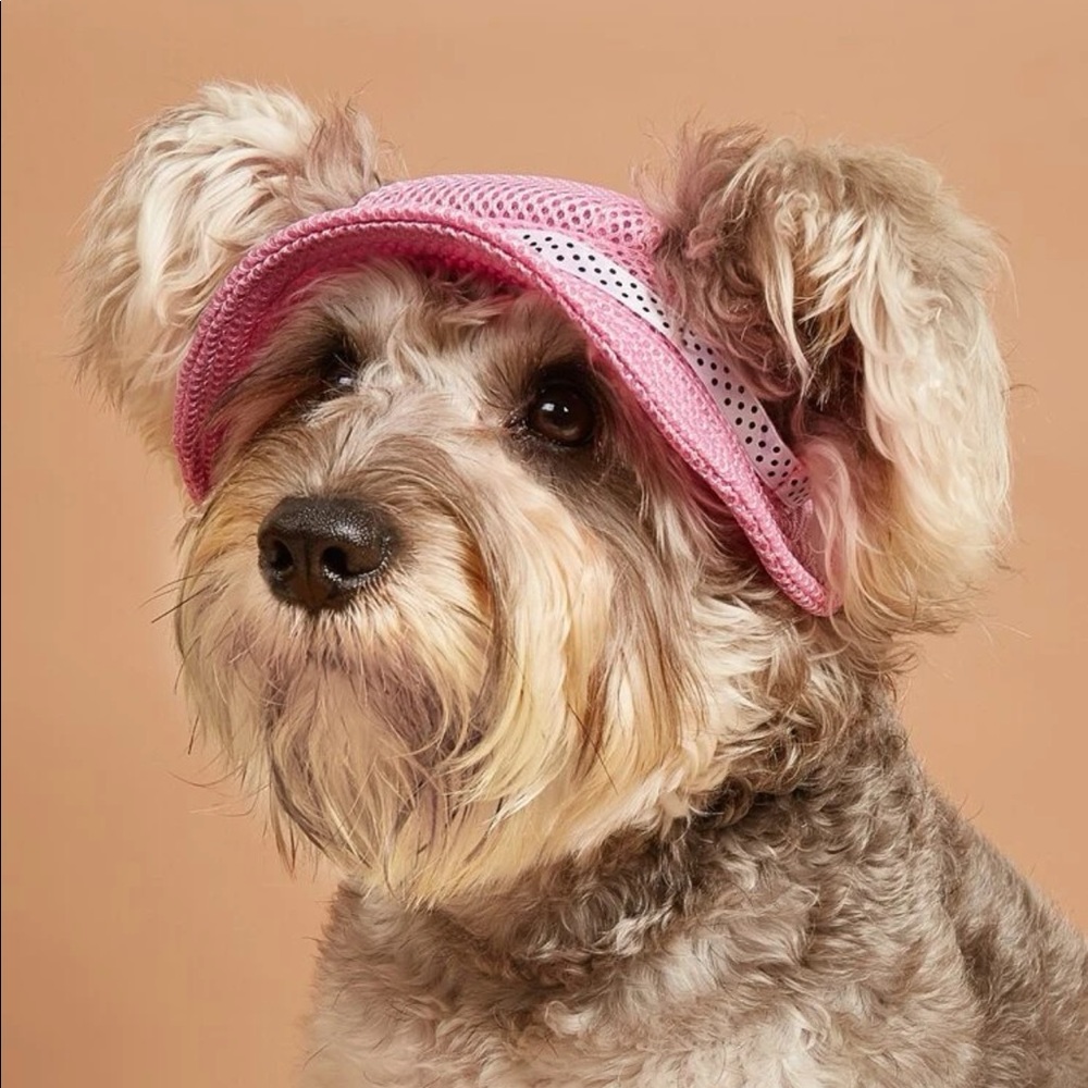 Bow Design Design Pet Hat 🐕